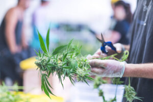 President Trump Signs Executive Order Directing AG to Expedite