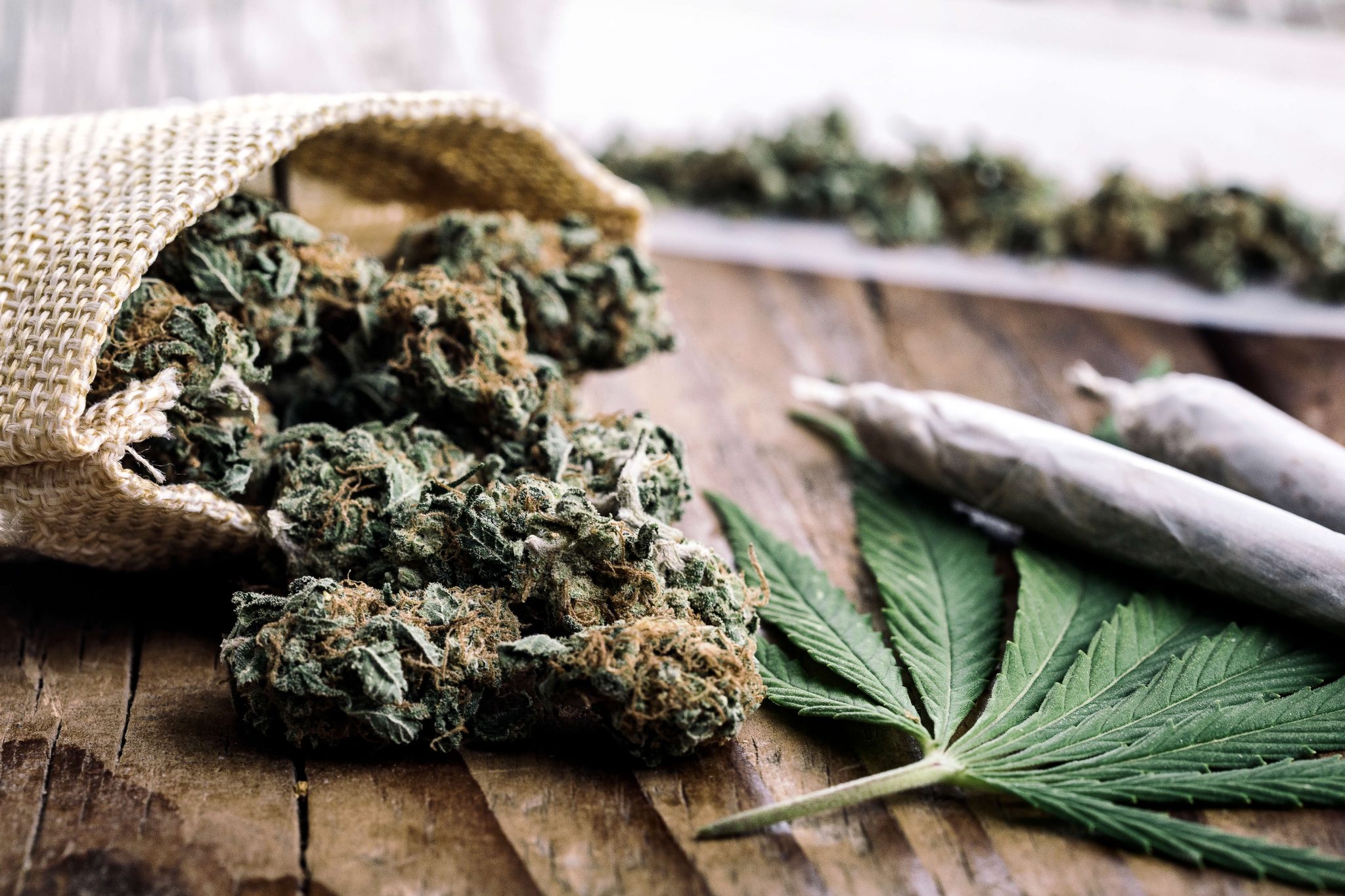 Marijuana Rescheduling Temporarily Paused - Ogletree
